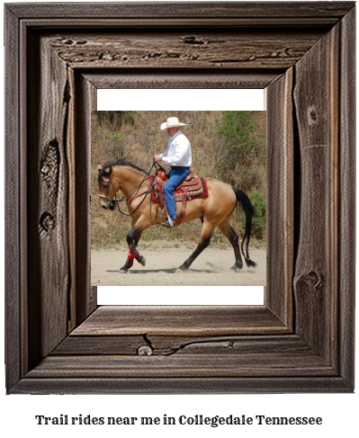 trail rides near me in Collegedale, Tennessee